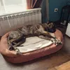 Our presa canario likes this bed very much