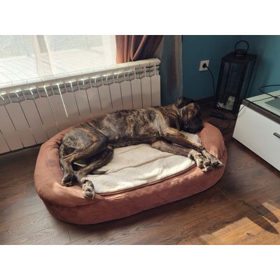 Our presa canario likes this bed very much