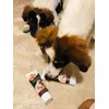 Both my puppies love this