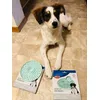 Recommended for teething puppies