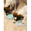 Recommended for teething puppies