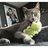 Otis met speeltje
