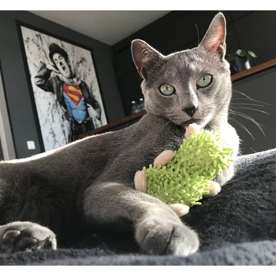 Otis met speeltje