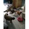Spielzimmer 