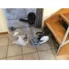 Unsere 3 Katzen sind begeistert 