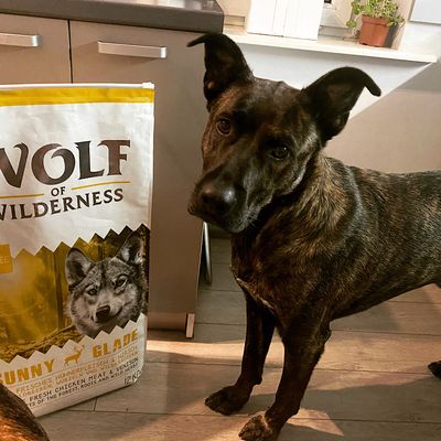 Garu with his big pack