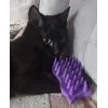 Batman w spa