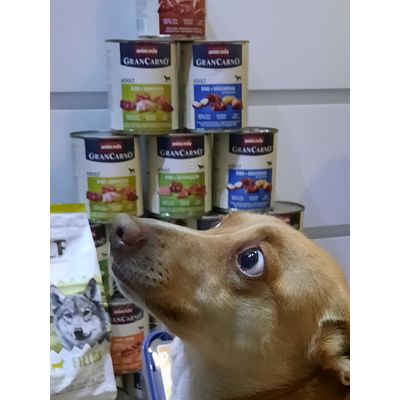 Lucynka pyta czy to dla niej