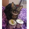 Banana und die Winteredition