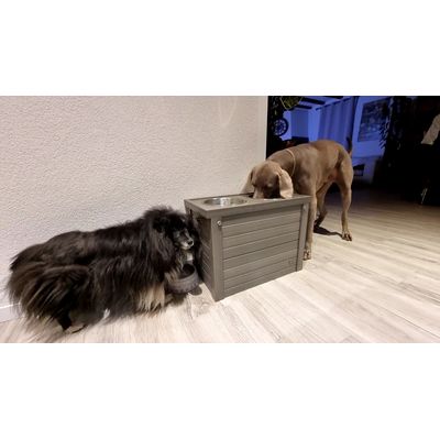 Bar pour chiens