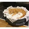 Leon im Kuschelbett