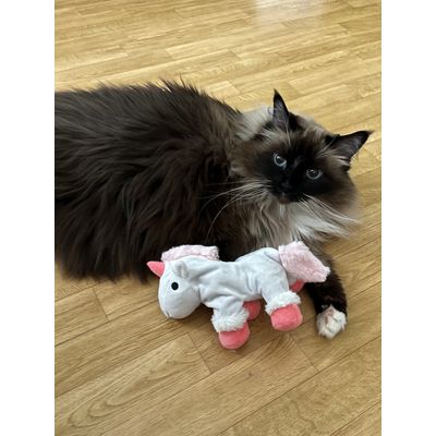 Daisy and her unicorn