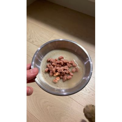 Kattovit
