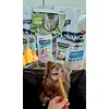 Ray loves Advance products