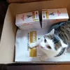 Loulou vous dit merci 