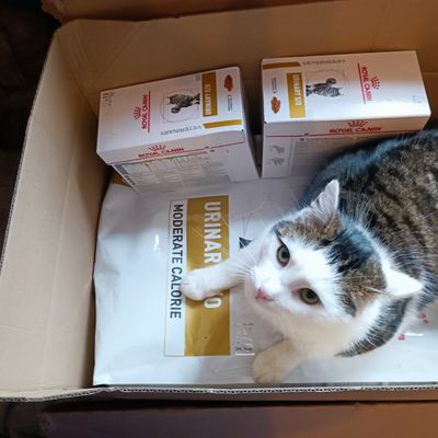 Loulou vous dit merci