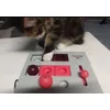 Maine coon approved 