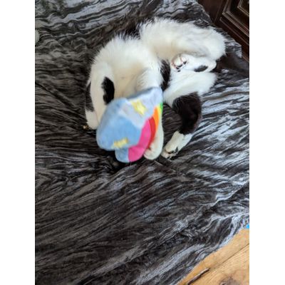 Rainbow heart toy
