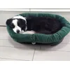 Tg 8 Border Collie 20Kg