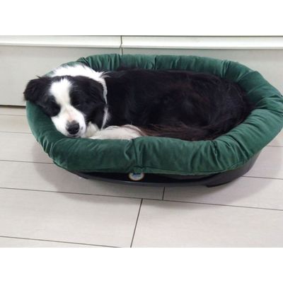 Tg 8 Border Collie 20Kg