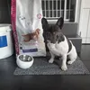 eukanuba
