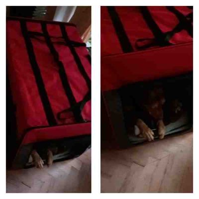 Daenerys in her new den