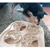 Olli ist begeistert 