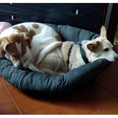 Taglia 8 per cani di 14 e 17kg