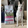 Eukanuba working and endurance voer