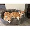 Tani en Mitsy 