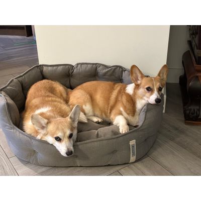 Tani en Mitsy