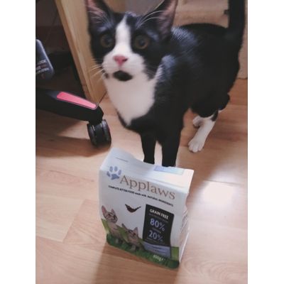 Luna