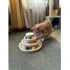  Tour en bois Mia pour chat 