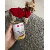 Roco
