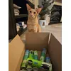 Kai is groot fan van Snackies