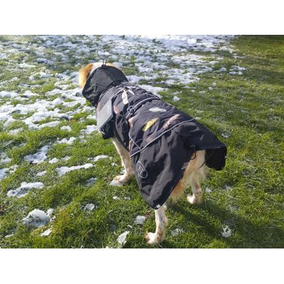 15kg taille 50cm