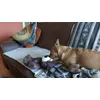 Pixie mit ihrem neuen Teddy 