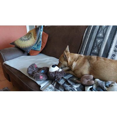 Pixie mit ihrem neuen Teddy