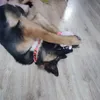 Felicidad