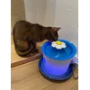 My cat loves it