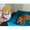 Ottime secondo il mio cane 
