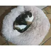 Micia lo adora 