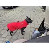 Shadow mit amantel 