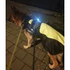 Goed zichtbaar