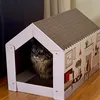 New cat house
