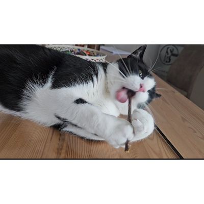 Lui