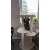 Stella