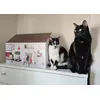 Casita nueva 