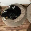 Happy doggies 90cm bed