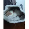 So comfy